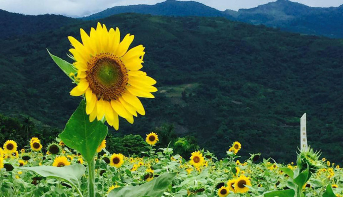 毒無二的發現-1